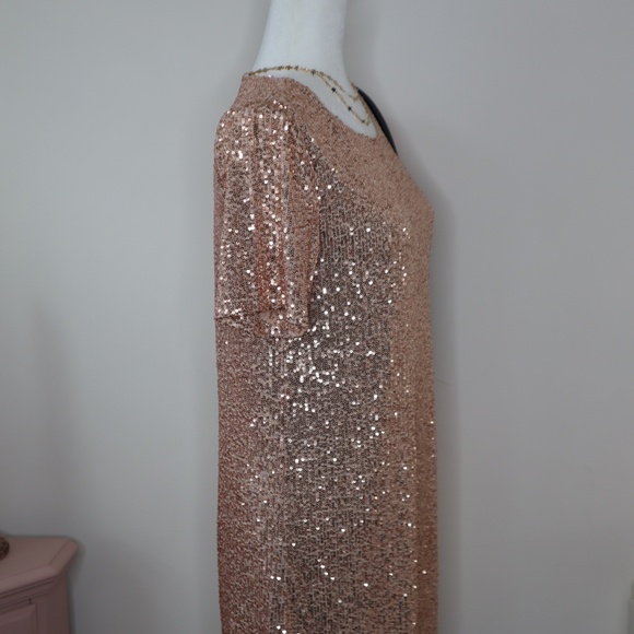NWT BB Dakota Sequin Shift Dress MEDIUM - Picture 3 of 5